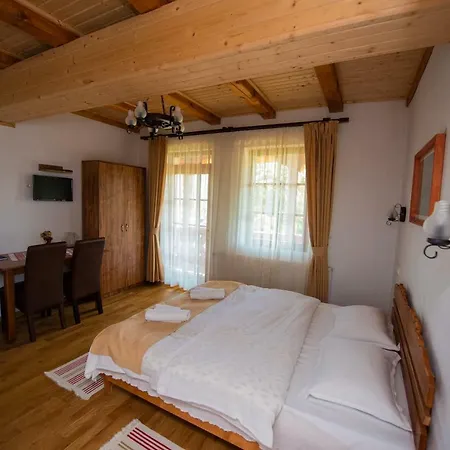 Pensiunea Agroturistica Raluca Vadu Izei Extérieur photo