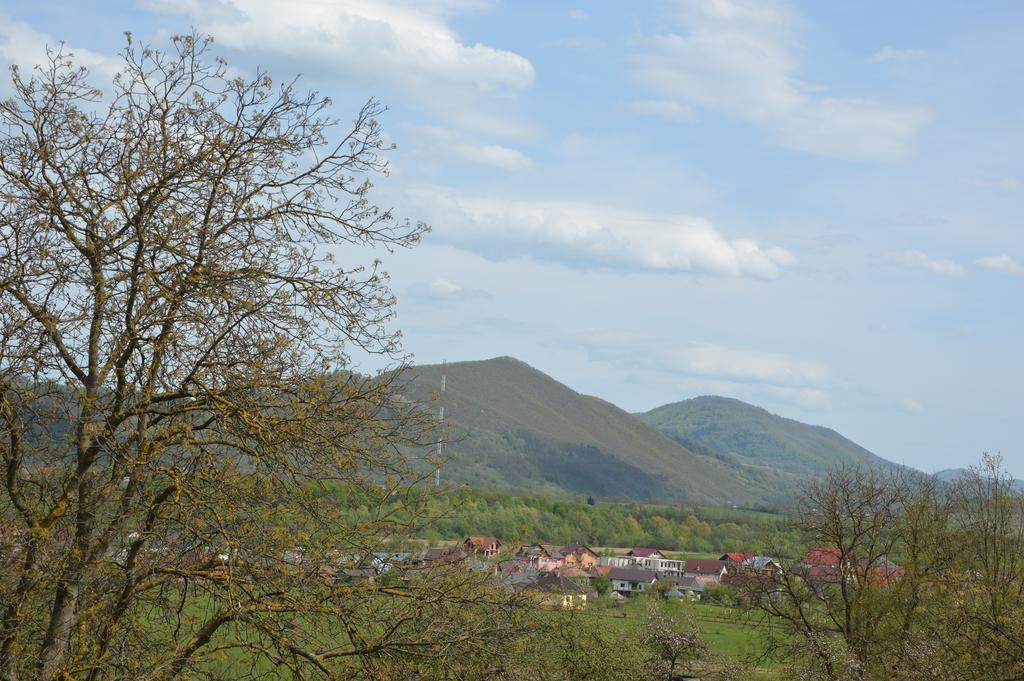 Farm stay Pensiunea Agroturistica Raluca Vadu Izei