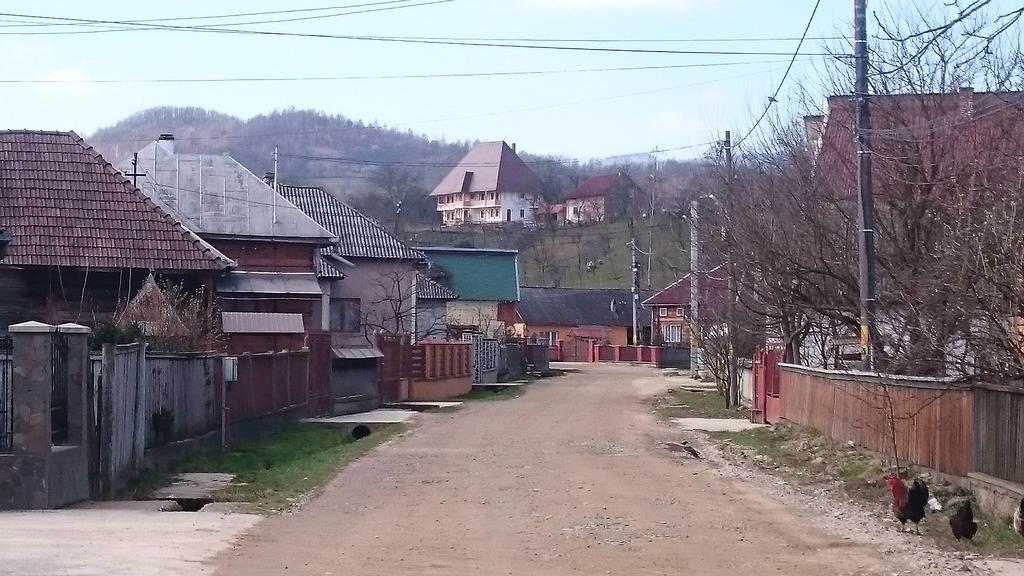 Pensiunea Agroturistica Raluca Vadu Izei