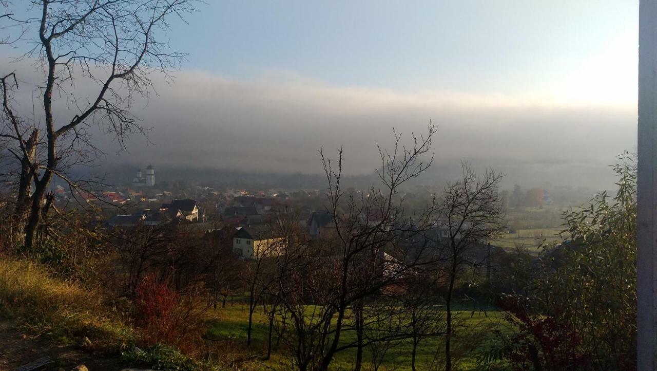 Pensiunea Agroturistica Raluca Farm stay