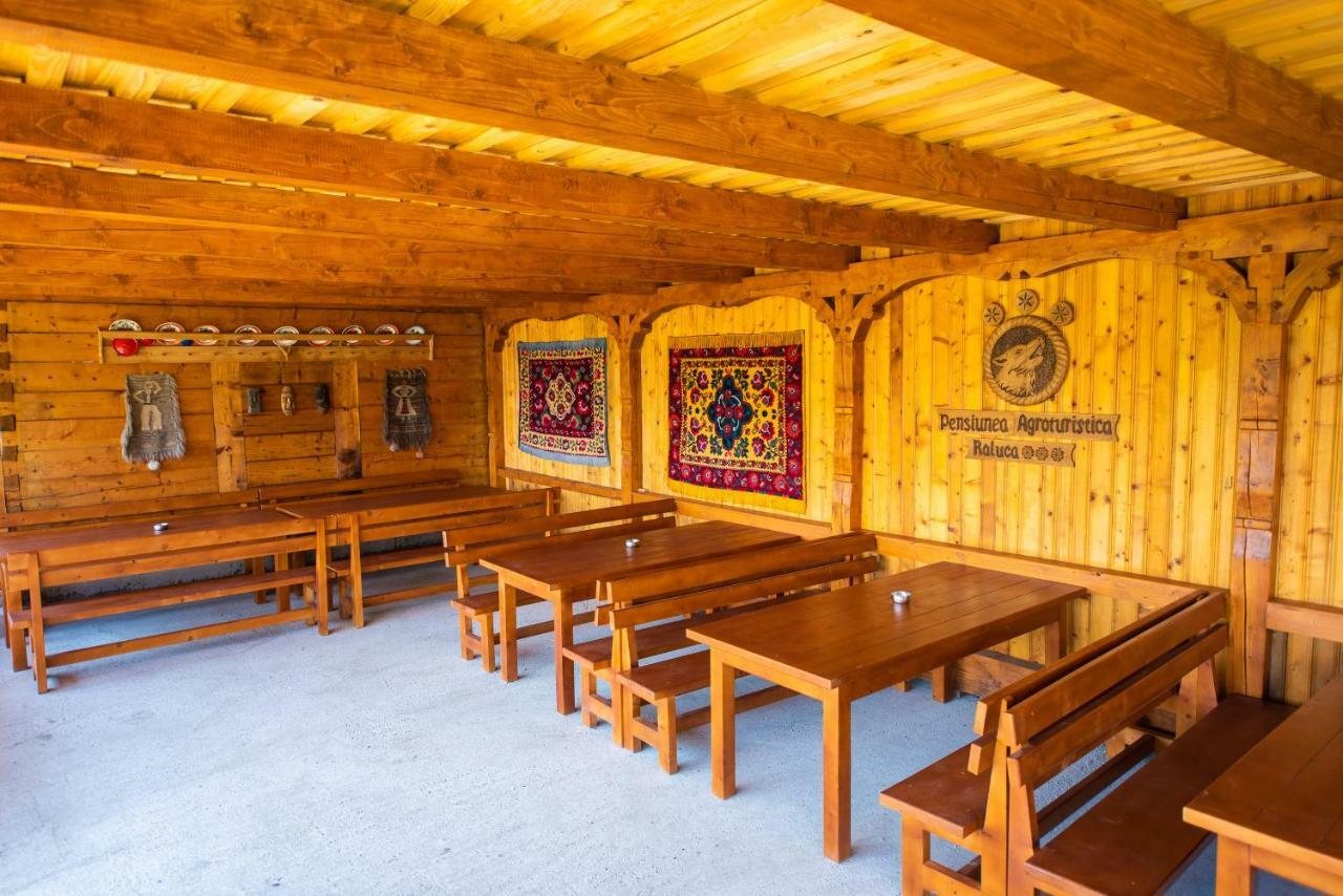 Farm stay Pensiunea Agroturistica Raluca *